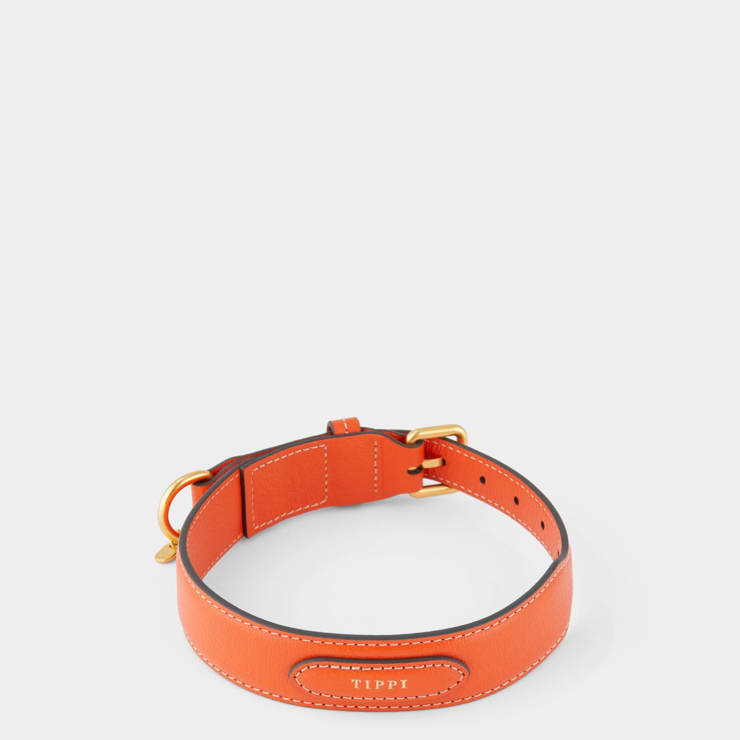 Large Dog Collar -

          
            Capra Leather in Clementine -
          

          Anya Hindmarch UK
