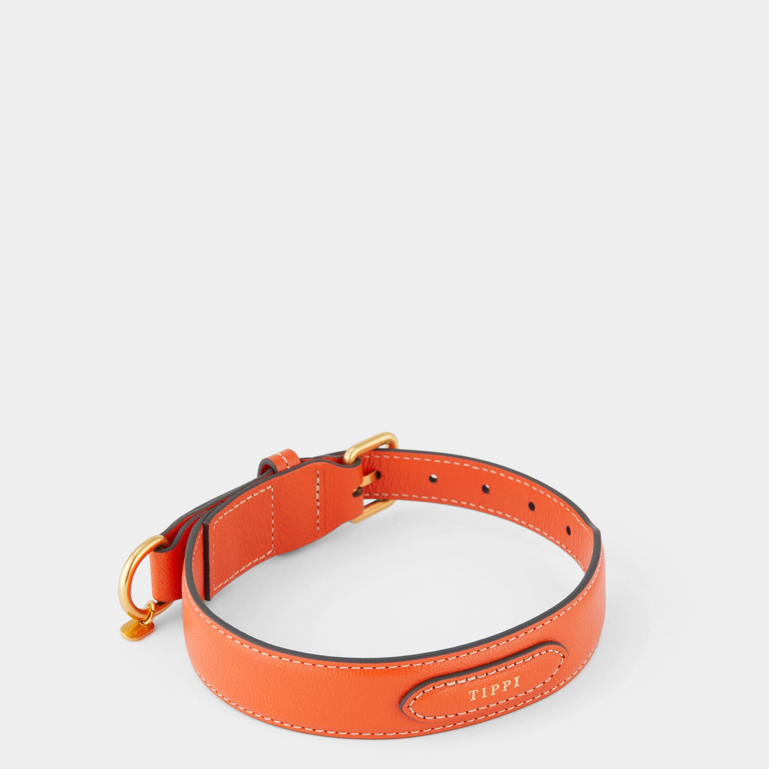 Large Dog Collar -

          
            Capra Leather in Clementine -
          

          Anya Hindmarch UK
