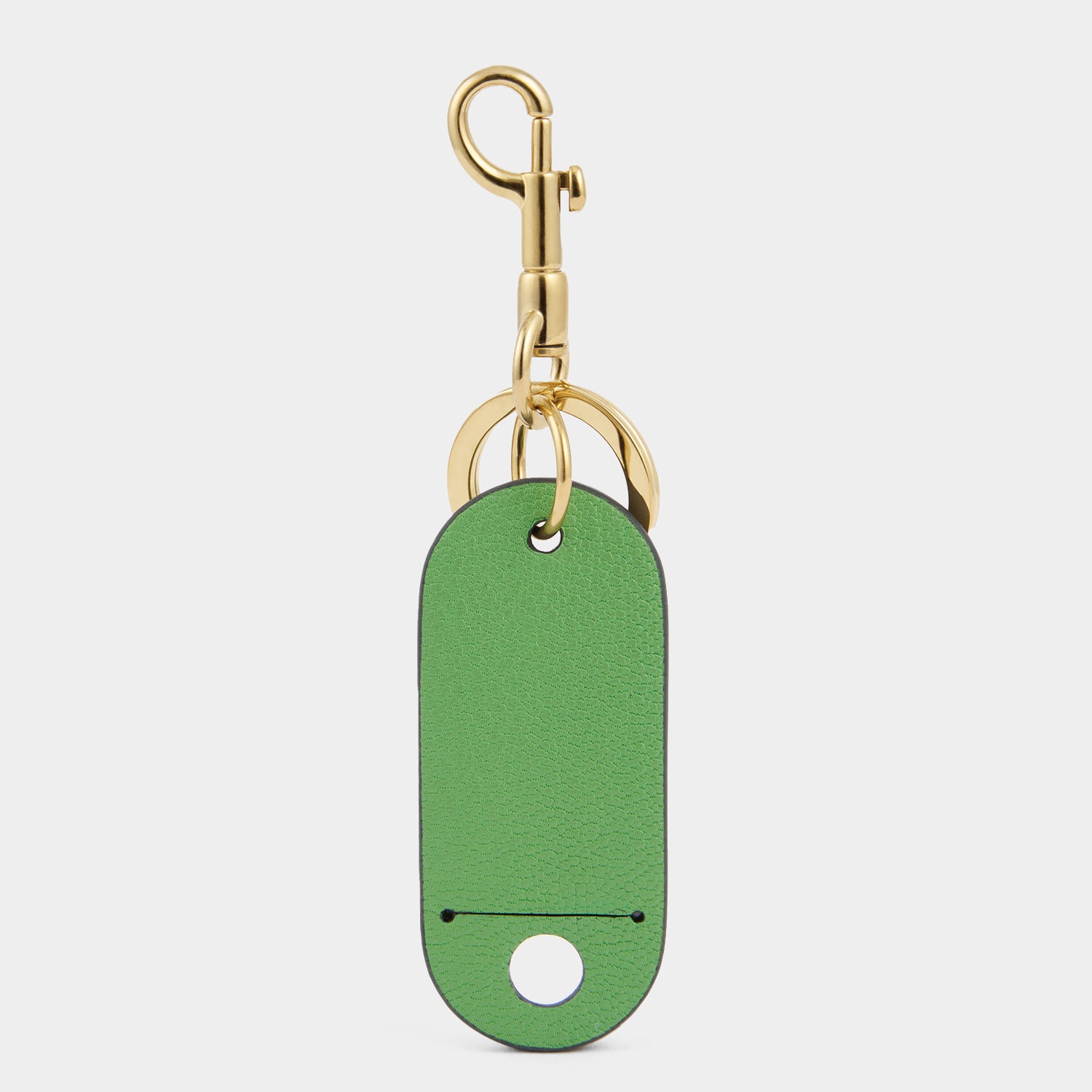 Luggage Tag -

          
            Capra Leather in Grass Green -
          

          Anya Hindmarch UK
