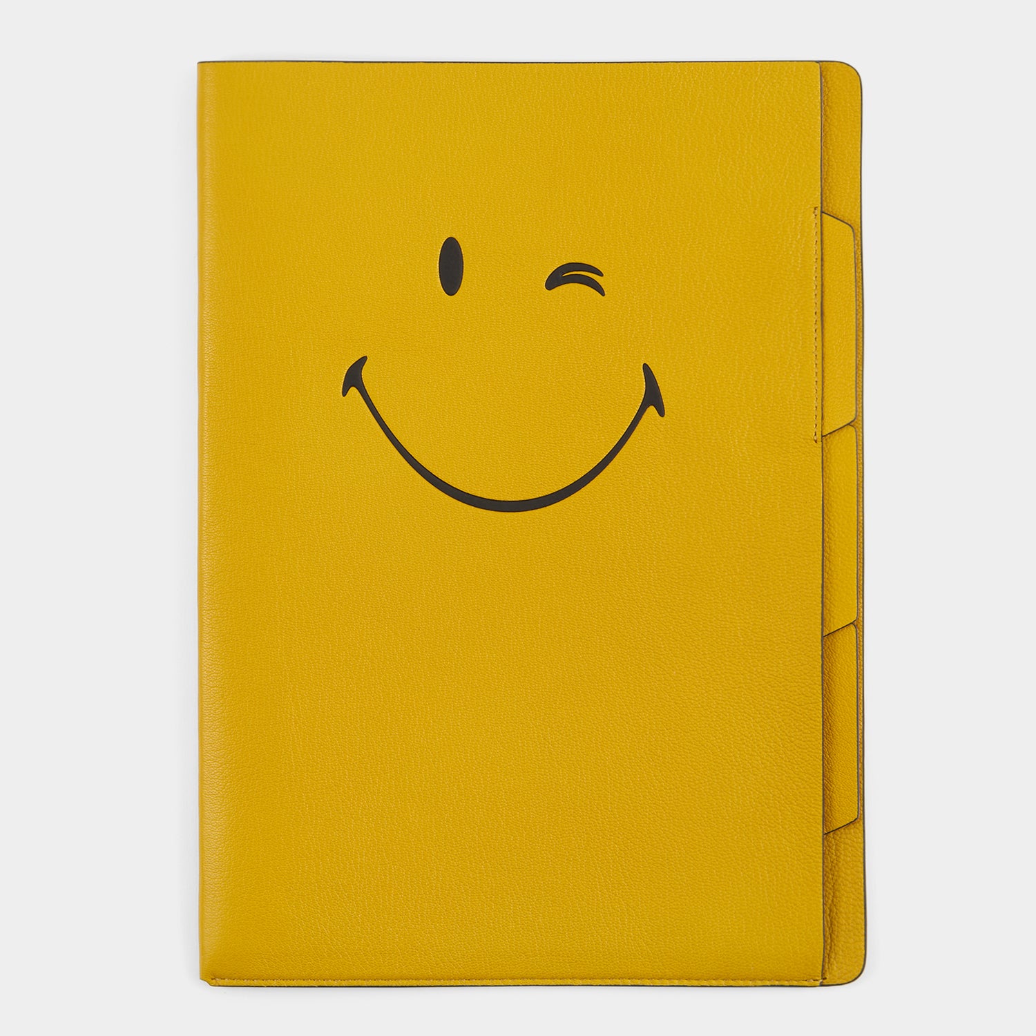 Wink A4 Document Sleeve -

          
            Capra Leather in Mustard Yellow -
          

          Anya Hindmarch UK
